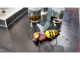 Museu de Ciências Naturais!