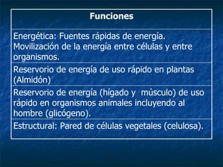 Estructural: Pared de células vegetales (celulosa). Reservorio de energía (hígado y  músculo) de uso rápido en organismos animales incluyendo al hombre (glicógeno). Reservorio de energía de uso rápido en plantas (Almidón) Energética: Fuentes rápidas de energía. Movilización de la energía entre células y entre organismos.  Funciones 
