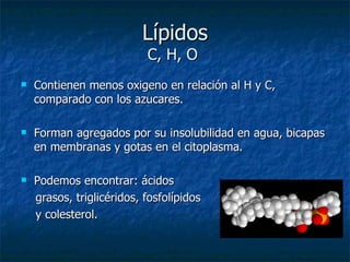 Lípidos C, H, O  Contienen menos oxigeno en relación al H y C, comparado con los azucares. Forman agregados por su insolubilidad en agua, bicapas en membranas y gotas en el citoplasma.  Podemos encontrar: ácidos grasos, triglicéridos, fosfolípidos  y colesterol. 