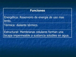 Estructural: Membranas celulares forman una bicapa impermeable a sustancia solubles en agua. Térmica: Aislante térmico. Energética: Reservorio de energía de uso mas lento.  Funciones 