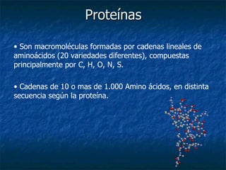 Proteínas Son macromoléculas formadas por cadenas lineales de aminoácidos (20 variedades diferentes), compuestas principalmente por  C, H, O, N, S. Cadenas de 10 o mas de 1.000  Amino ácidos, en distinta secuencia según la proteína. 