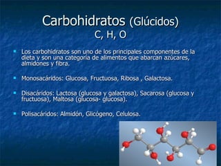 Carbohidratos  (Glúcidos) C, H, O Los carbohidratos son uno de los principales componentes de la dieta y son una categoría de alimentos que abarcan azúcares, almidones y fibra. Monosacáridos: Glucosa, Fructuosa, Ribosa , Galactosa. Disacáridos: Lactosa (glucosa y galactosa), Sacarosa (glucosa y fructuosa), Maltosa (glucosa- glucosa). Polisacáridos: Almidón, Glicógeno, Celulosa. 