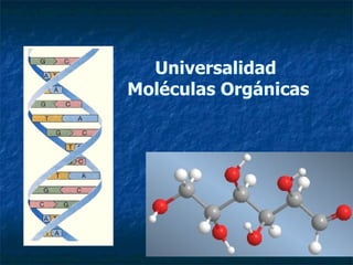 Universalidad  Moléculas Orgánicas 