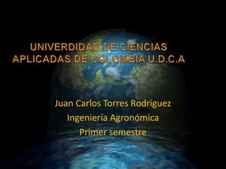 Juan Carlos Torres Rodriguez
Ingeniería Agronómica
Primer semestre

 