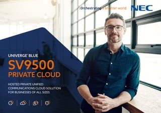 UNIVERGE®
BLUE
SV9500
PRIVATE CLOUD
HOSTED PRIVATE UNIFIED
COMMUNICATIONS CLOUD SOLUTION
FOR BUSINESSES OF ALL SIZES
 