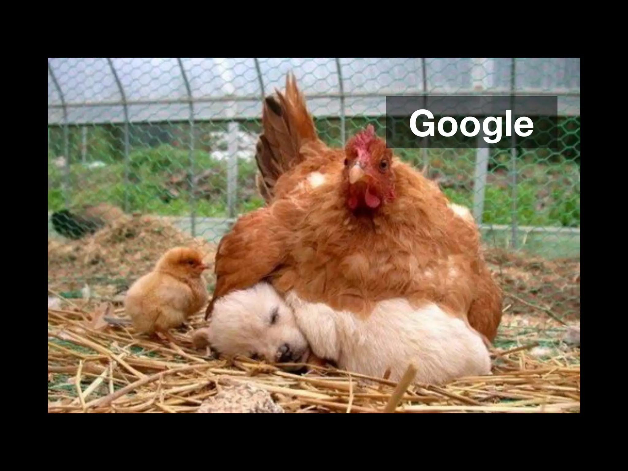 Google 