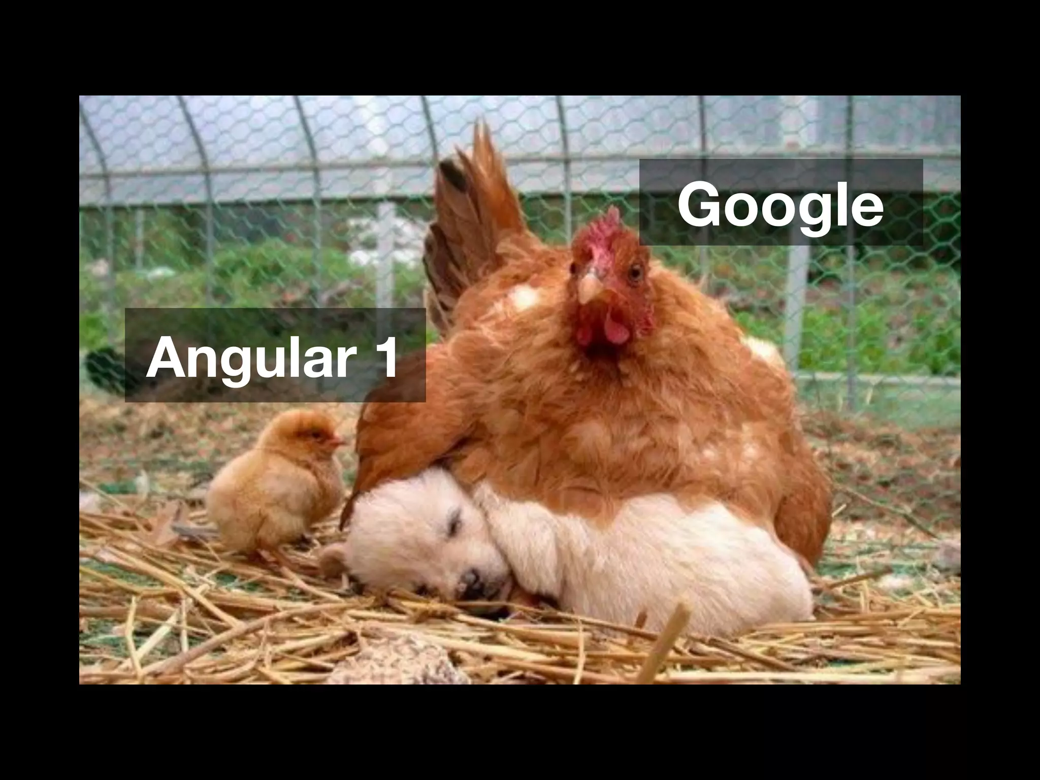 Google Angular 1 