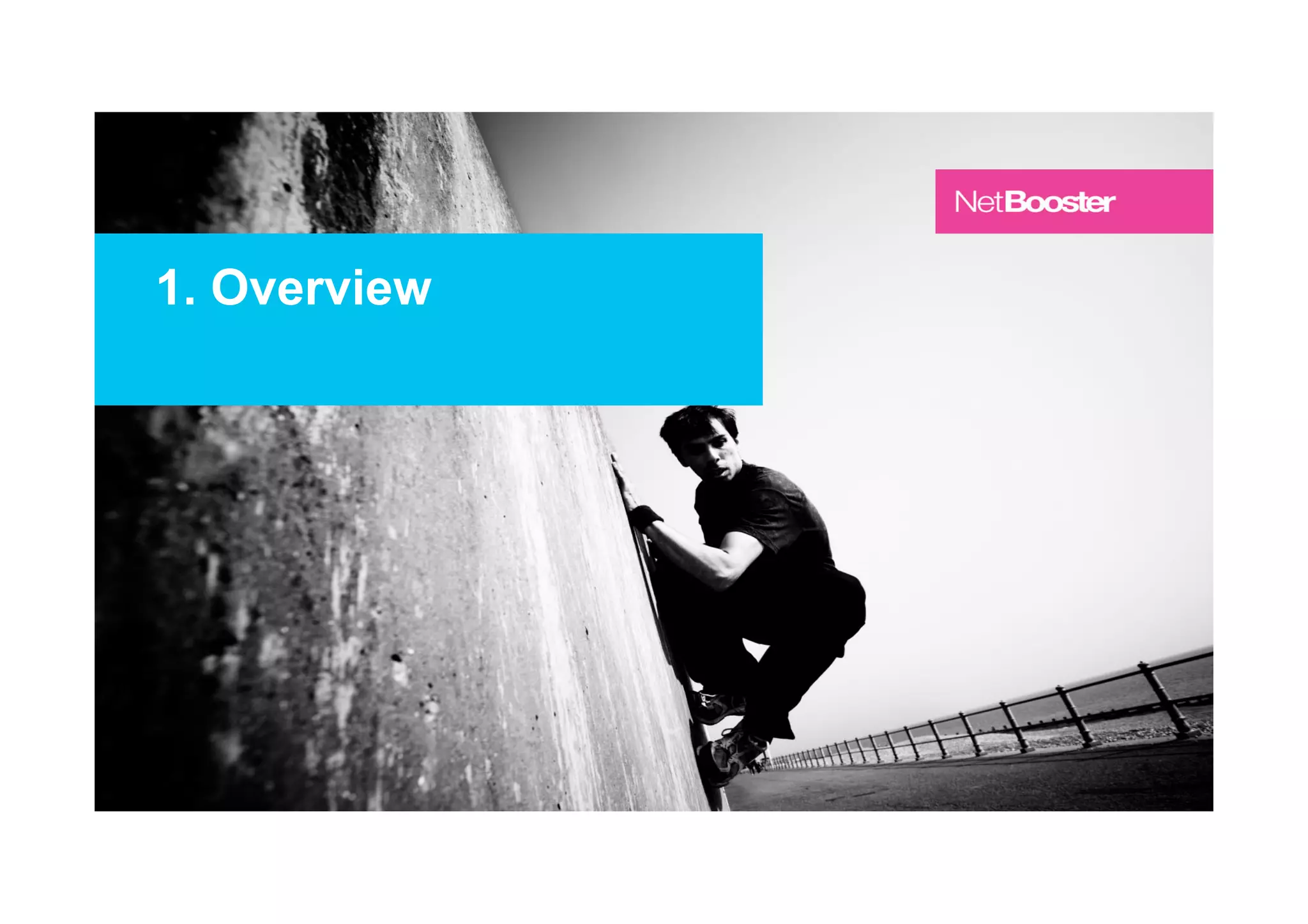 Copyright NetBooster 2013
13
1. Overview