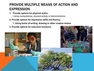 Universal design edp 279 lschaede | PPT