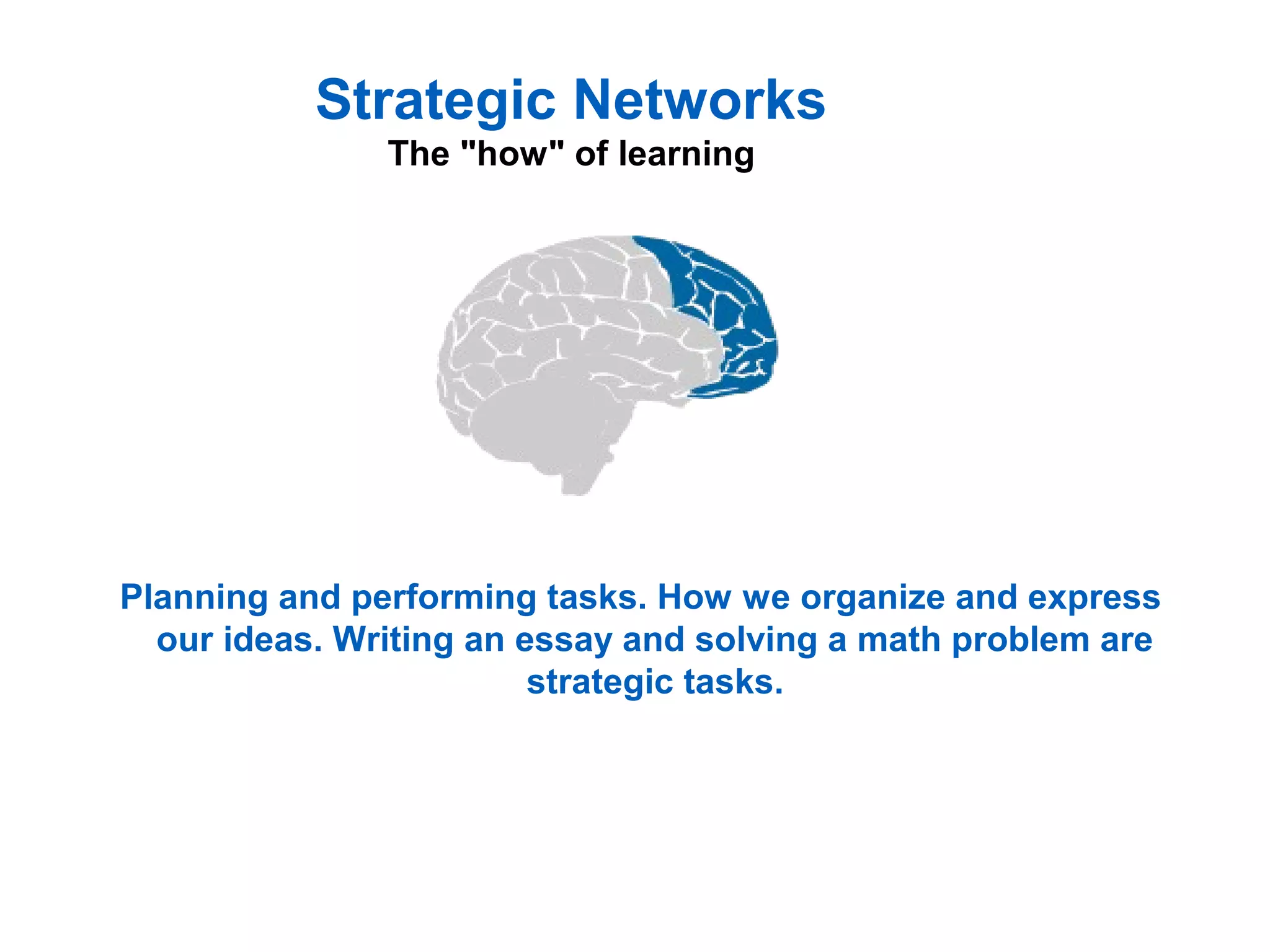 Strategic Networks
The "how" of learning
Planning and performing tasks. How we organize and express
our ideas. Writing an essay and solving a math problem are
strategic tasks.
 