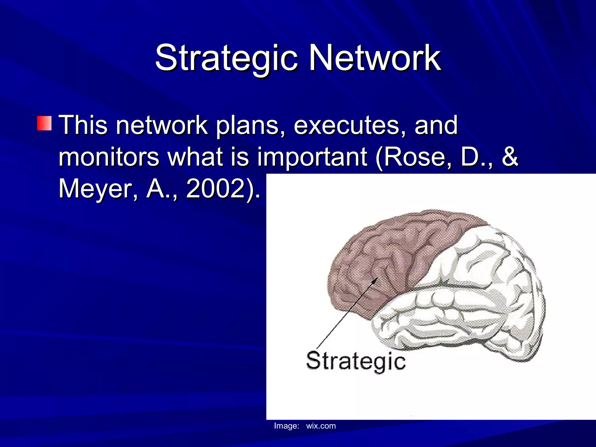 Strategic NetworkStrategic Network
This network plans, executes, andThis network plans, executes, and
monitors what is important (Rose, D., &monitors what is important (Rose, D., &
Meyer, A., 2002).Meyer, A., 2002).
Image: wix.com
 