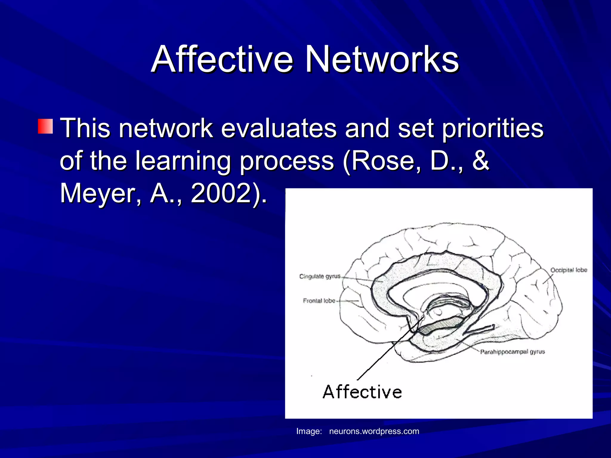 Affective NetworksAffective Networks
This network evaluates and set prioritiesThis network evaluates and set priorities
of the learning process (Rose, D., &of the learning process (Rose, D., &
Meyer, A., 2002).Meyer, A., 2002).
Image: neurons.wordpress.com
 