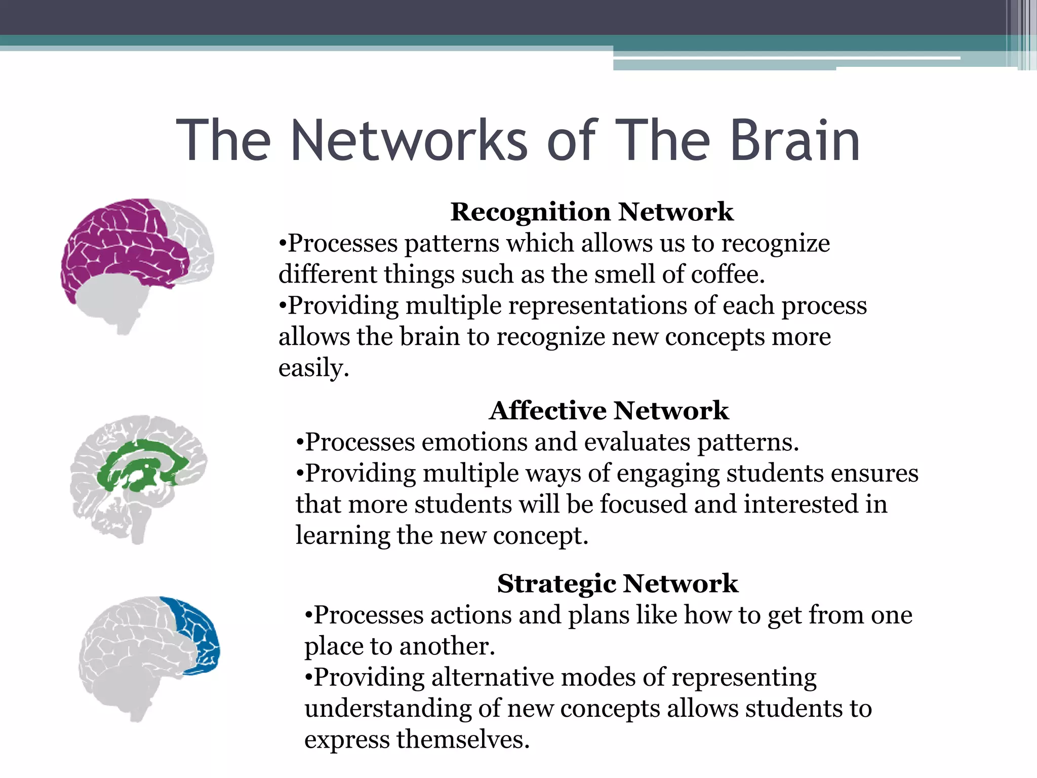 The Networks of The BrainRecognition NetworkProcesses patterns which allows us to recognize different things such as the smell of coffee.