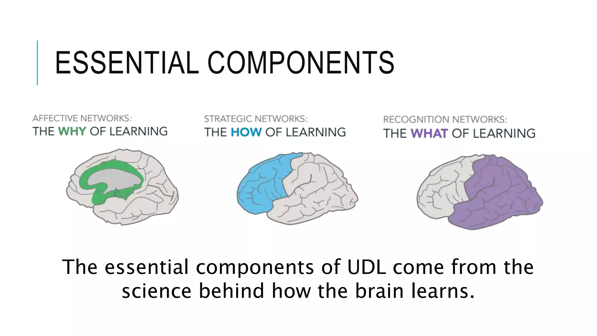 Universal design for learning | PPTX