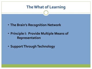 The What of Learning  The Brain’s Recognition Network