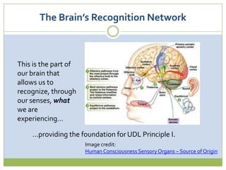   Principle I:  Provide Multiple Means of 	Representation