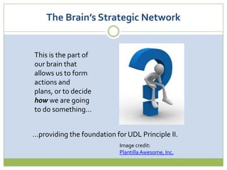 The How of Learning  The Brain’s Strategic Network