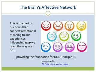The Why of Learning  The Brain’s Affective Network
