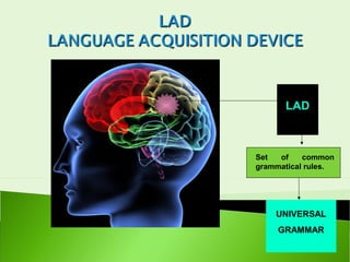 LAD



Set  of    common
grammatical rules.




    UNIVERSAL
     GRAMMAR
 