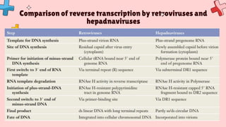 Hepatitis B virus: Life cycle, transmission, treatment and prevent | PPTX