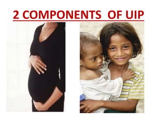 2 COMPONENTS OF UIP
 