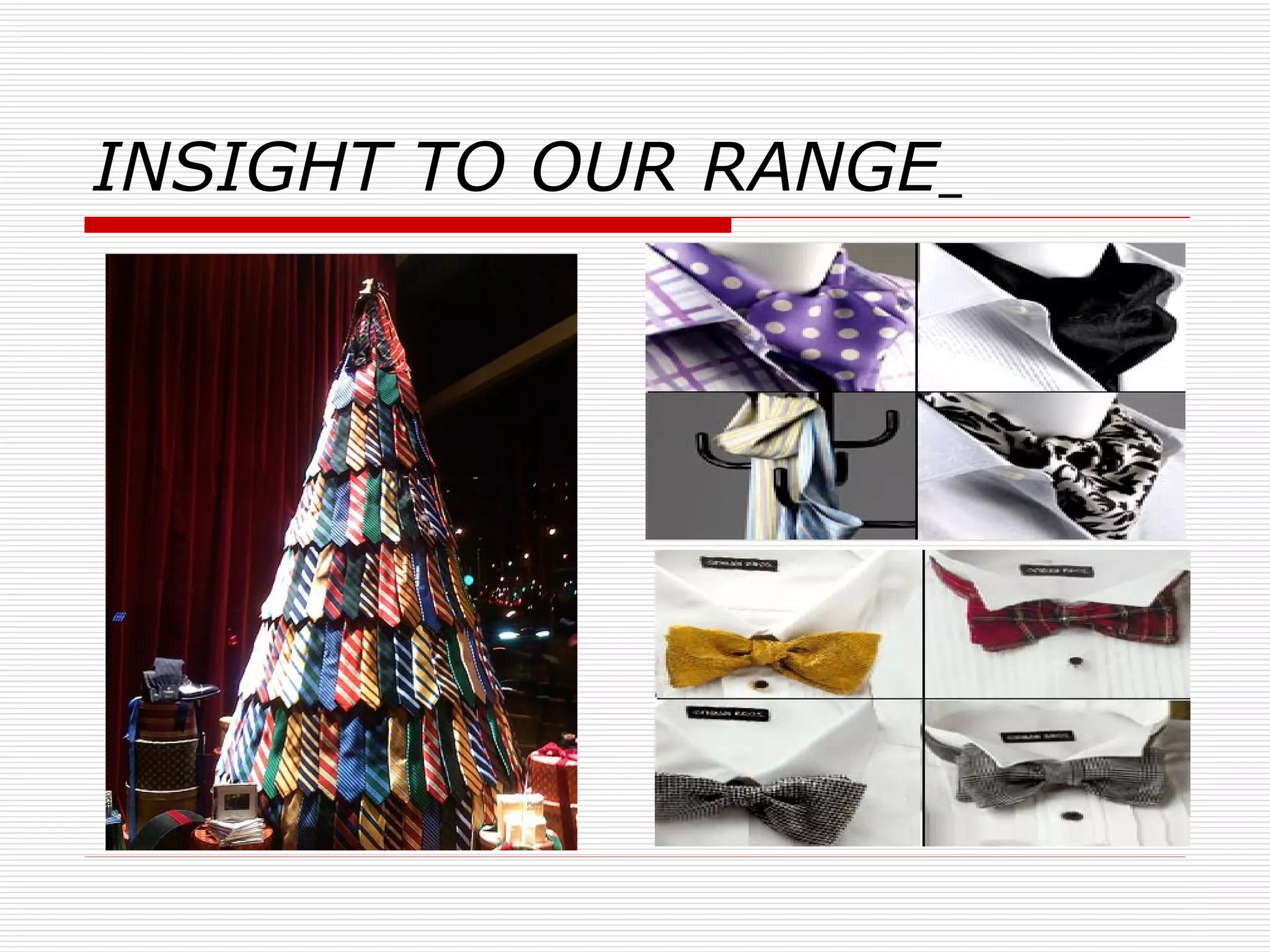 INSIGHT TO OUR RANGE   