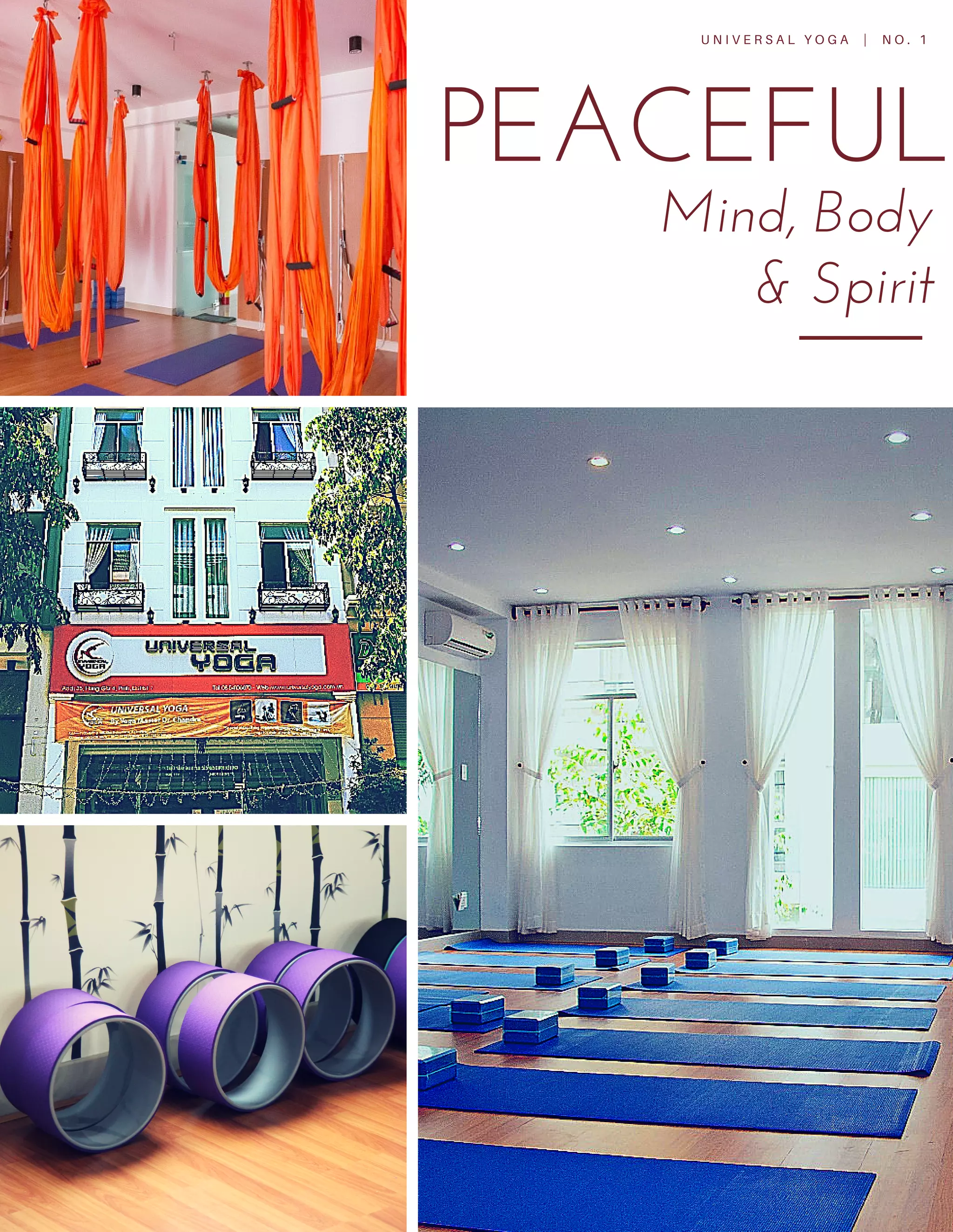 Universal yoga catalog 2016 PDF