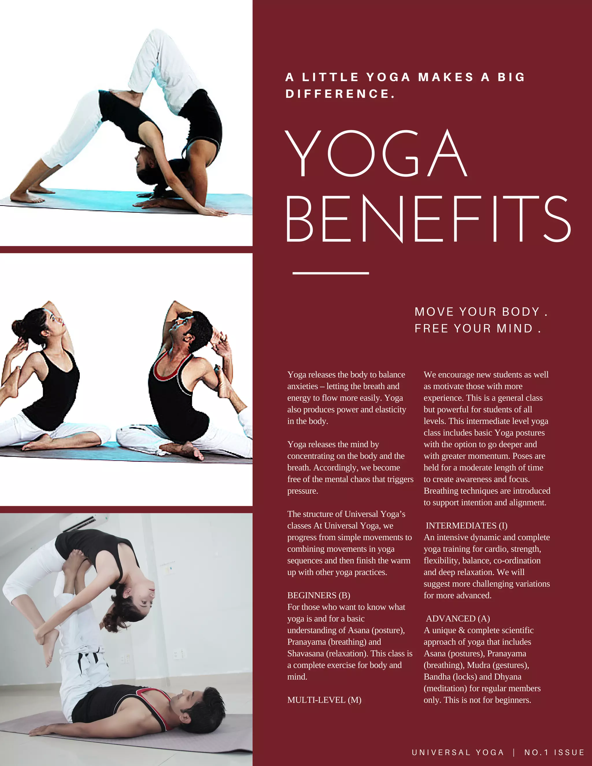 Universal yoga catalog 2016 PDF