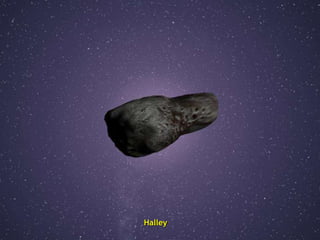 Halley 