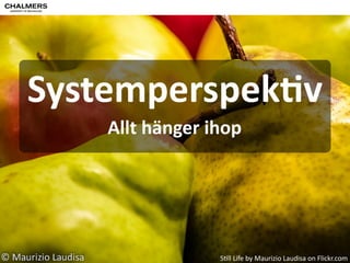 Vad 
skulle 
hända 
om 
oljan 
försvann 
idag? 
Gas 
Crisis 
in 
Atlanta 
by 
B 
Rosen 
on 
Flickr.com 
 