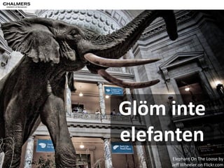 OavseE 
vad 
ni 
fokuserar 
på... 
Eye 
See 
You 
Two 
by 
chrisbb@prodigy.net 
on 
Flickr.com 
 