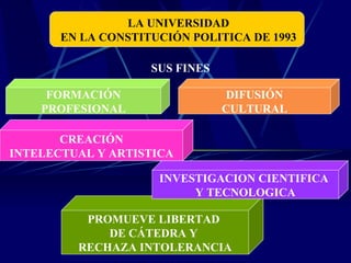 LA UNIVERSIDAD EN LA CONSTITUCIÓN POLITICA DE 1993 SUS FINES  PROMUEVE LIBERTAD  DE CÁTEDRA Y  RECHAZA INTOLERANCIA FORMACIÓN PROFESIONAL INVESTIGACION CIENTIFICA  Y TECNOLOGICA CREACIÓN INTELECTUAL Y ARTISTICA DIFUSIÓN CULTURAL 