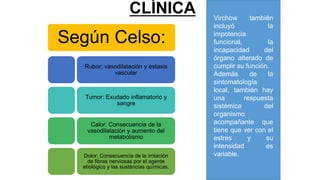 CLÍNICA
Según Celso:
Rubor: vasodilatación y estasis
vascular
Tumor: Exudado inflamatorio y
sangre
Calor: Consecuencia de la
vasodilatación y aumento del
metabolismo
Dolor: Consecuencia de la irritación
de fibras nerviosas por el agente
etiológico y las sustancias químicas.
Virchow también
incluyó la
impotencia
funcional, la
incapacidad del
órgano alterado de
cumplir su función.
Además de la
sintomatología
local, también hay
una respuesta
sistémica del
organismo
acompañante que
tiene que ver con el
estrés y su
intensidad es
variable.
 