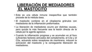 LIBERACIÓN DE MEDIADORES
EL MASTOCITO
• Esta es una célula inmune inespecífica que también
procede de la médula ósea.
• El mastocito contiene en el citoplasma gránulos con
mediadores de la inflamación preformados.
• La liberación de mediadores ocurre por distintas causas,
pero quizás la más frecuente sea la lesión directa de la
célula por le agente agresivo.
• Cuando la inflamación progresa y se acumulan en el foco
suficientes factores activados del complemento, el C3a y el
C5a, actuando sobre receptores de membrana, inducen la
activación del mastocito y la consiguiente liberación de
mediadores.
 