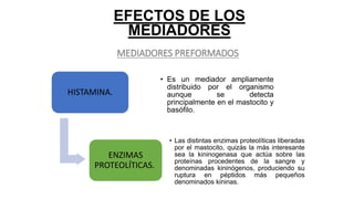 HISTAMINA.
• Es un mediador ampliamente
distribuido por el organismo
aunque se detecta
principalmente en el mastocito y
basófilo.
ENZIMAS
PROTEOLÍTICAS.
• Las distintas enzimas proteolíticas liberadas
por el mastocito, quizás la más interesante
sea la kininogenasa que actúa sobre las
proteínas procedentes de la sangre y
denominadas kininógenos, produciendo su
ruptura en péptidos más pequeños
denominados kininas.
EFECTOS DE LOS
MEDIADORES
MEDIADORES PREFORMADOS
 
