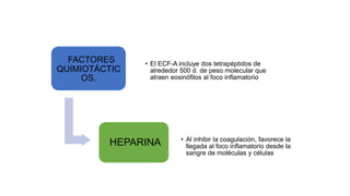 FACTORES
QUIMIOTÁCTIC
OS.
• El ECF-A incluye dos tetrapéptidos de
alrededor 500 d. de peso molecular que
atraen eosinófilos al foco inflamatorio
HEPARINA • Al inhibir la coagulación, favorece la
llegada al foco inflamatorio desde la
sangre de moléculas y células
 