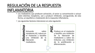 REGULACIÓN DE LA RESPUESTA
INFLAMATORIA
• Los mediadores que producen activación, al variar su concentración o actuar
sobre distintos receptores, van a producir inhibición, consiguiendo, de esta
forma, un equilibrio o modulación de la respuesta inflamatoria.
• Los siguientes factores intervienen en esta regulación
Histamina
Actuando sobre
receptores H2, induce en
el mastocito y basófilo
una inhibición de la
liberación de
mediadores.
PGE.
Produce en el mastocito
y basófilo una inhibición
de la liberación de
mediadores y sobre los
linfocitos una inhibición
de la proliferación y
diferenciación.
 