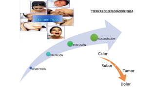 INSPECCIÓN
PALPACIÓN
PERCUSIÓN
AUSCULTACIÓN
TECNICAS DE EXPLORACIÓN FISICA
Calor
Rubor
Tumor
Dolor
 