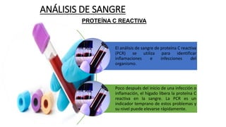 ANÁLISIS DE SANGRE
El análisis de sangre de proteína C reactiva
(PCR) se utiliza para identificar
inflamaciones e infecciones del
organismo.
Poco después del inicio de una infección o
inflamación, el hígado libera la proteína C
reactiva en la sangre. La PCR es un
indicador temprano de estos problemas y
su nivel puede elevarse rápidamente.
PROTEÍNA C REACTIVA
 