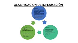 CLASIFICACION DE INFLAMACIÓN
AGUDA
•Acumulación de liquido y
componentes del plasma
en el tejido afectado corta
duración (días)
•Estimulación intravascular
de plaquetas y presencia
de PMN
•Tendencia a la curación
•Respuesta inmediata
frente a la agresión
CRÓNICA:
•Duración prolongada
(semanas o meses)
•Los componentes
celulares característicos
de una inflamación
crónica son:
•Macrófagos
•Linfocitos
•Plasmocitos
INFLAMACIÓN
CRÓNICA
GRANULOMATOSA
:
•Células epitelioides
•Macrófagos activados
•Se fusionan constituyendo
células gigantes
multinucleadas
 
