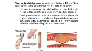 • Nivel de triglicéridos que debería ser inferior a 100 mg/dL a
pesar que el rango considerado normal esté en 45-150%.
Los niveles elevados de triglicéridos son un factor de
riesgo independiente para una enfermedad del corazón.
Otros problemas de salud relacionados a altos niveles de
triglicéridos incluyen la diabetes, hipotiroidismo, presión
sanguínea alta, pancreatitis, obesidad y enfermedades
crónicas del riñón, el hígado y la circulación.
 