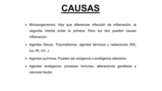 CAUSAS
 Microorganismos: Hay que diferenciar infección de inflamación, la
segunda intenta evitar la primera. Pero los dos pueden causar
inflamación.
 Agentes físicos: Traumatismos, agentes térmicos y radiaciones (RX,
luz, IR, UV...)
 Agentes químicos: Pueden ser exógenos o endógenos alterados
 Agentes endógenos: procesos inmunes, alteraciones genéticas y
necrosis tisular.
 