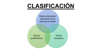 CLASIFICACIÓN
Patrón alterativo:
alteración de la
zona de la lesión
Patrón
exudativo
Patrón
proliferativo
 