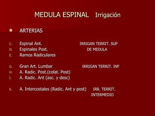 MEDULA ESPINAL  Irrigación ARTERIAS Espinal Ant.  IRRIGAN TERRIT. SUP Espinales Post.  DE MEDULA   Ramos Radiculares  Gran Art. Lumbar  IRRIGAN TERRIT. INF A. Radic. Post.(colat. Post) A. Radic. Ant (asc. y desc) A. Intercostales (Radic. Ant y post)  IRR. TERRIT. INTERMEDIO 