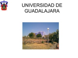 UNIVERSIDAD DE GUADALAJARA 