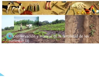 Universidad innova-cambioclimatico