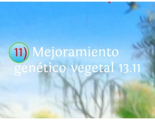 Universidad innova-cambioclimatico