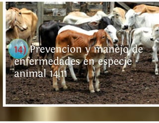 Universidad innova-cambioclimatico