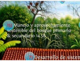 Universidad innova-cambioclimatico