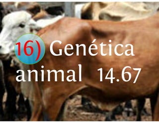 Universidad innova-cambioclimatico